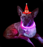 Dog Light up Collar LED Collar Light up Cat Collar USB Rechargeable Collar Christmas Decoration Pet Collar Pet Christmas Gifts