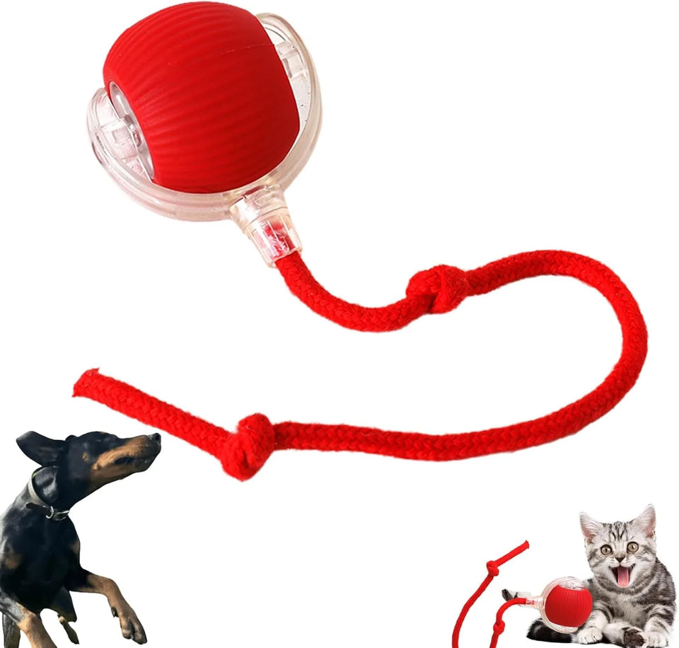 Chewie Ball, Chewie Viral Rolling Ball, Interactive Cat Ball Toy, Chewie Ball for Dogs, Chewie Smart Automatic Rolling Pet Ball, Automatic 360° Rotating Rolling Ball with USB Charging