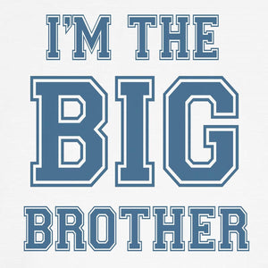 Big Brother Dog T Shirt Dog T-Shirt, Pet Clothing, Funny Dog Costume