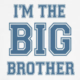 Big Brother Dog T Shirt Dog T-Shirt, Pet Clothing, Funny Dog Costume