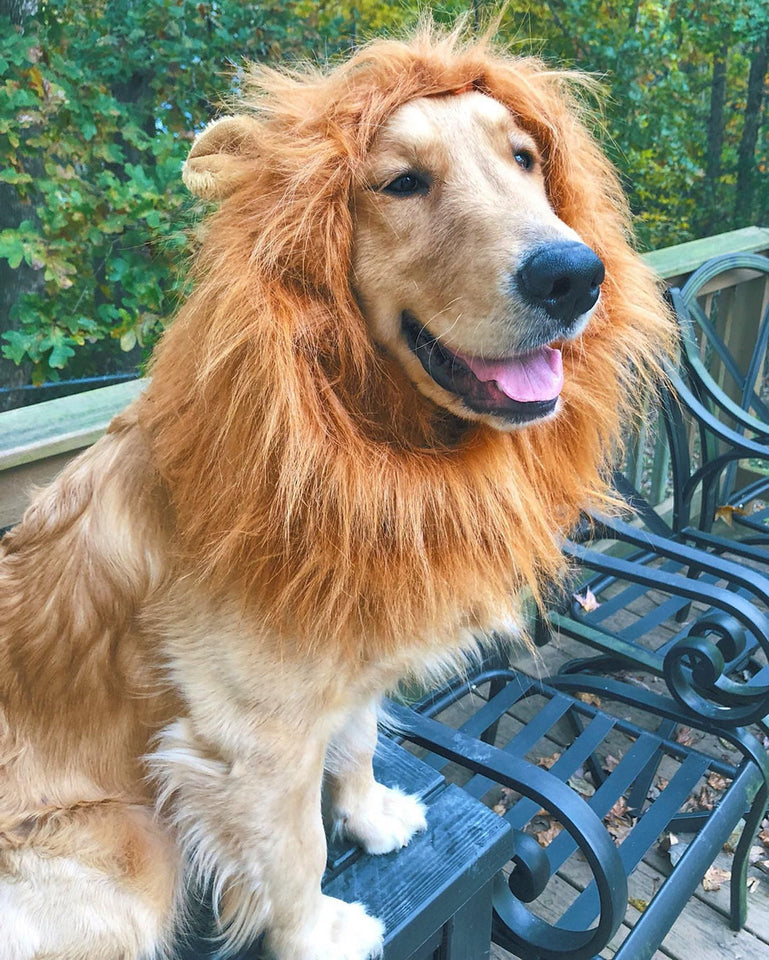 Dog Lion Costume, Funny Cartoon Jumpsuit Holiday Party pet Apparels