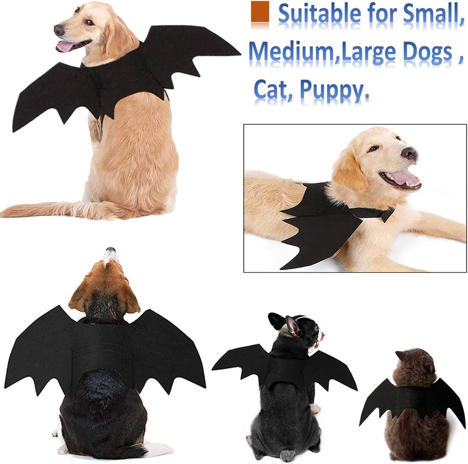 Halloween Costumes: Bat Wings for Small, Medium & Large Dogs & Cats - Funny Pet Apparel, Cosplay Clothes, Cool Outfits (S)