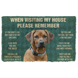 Please Remember Corgi House Rules Doormat Decor Print Carpet Soft Flannel Non-Slip Doormat for Bedroom Porch Drop Shipping