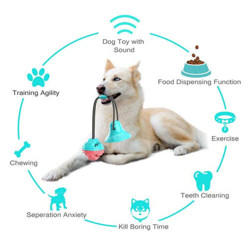 Mentally Stimulating Dogs Suction Cup dog’s chewing tool