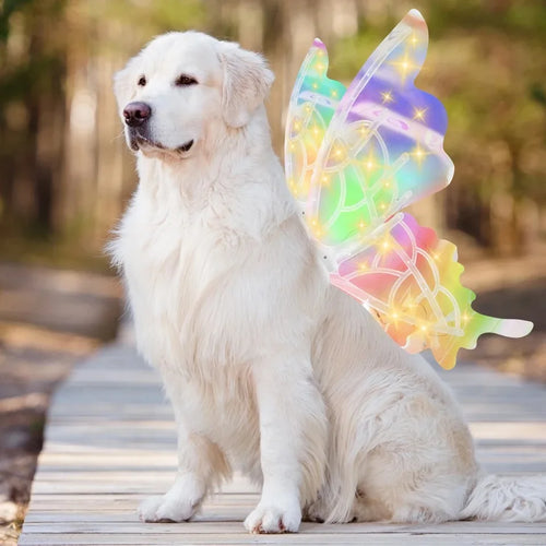 Dog Electric Glowing Wings Butterfly dog Wings Bat Wings with LED Lights