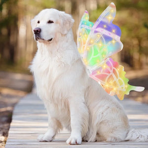 Dog Electric Glowing Wings Butterfly dog Wings Bat Wings with LED Lights