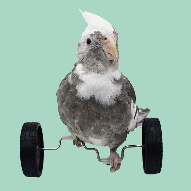 Creative Parrot Balance Toy Interactive Birds Toy Mini Intelligence Training Toy