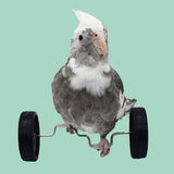 Creative Parrot Balance Toy Interactive Birds Toy Mini Intelligence Training Toy