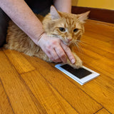 Dog Nose and Paw print Clean Touch Ink Pad, Dog Or Cat Keepsake
