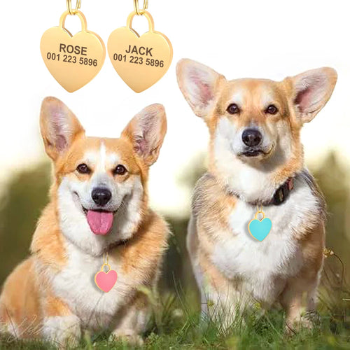 Personalized Dog Cat ID Tag Bling Rhinestone Puppy Kitten Name Tags