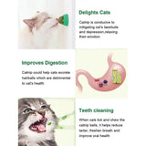 Premium Catnip Balls
