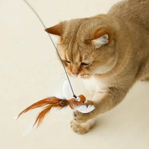 Cat Feather Wand Toy Suction Cup Bird/Feather Cat Wand Pet Supplies