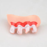 Funny Pet Teeth's! Tricky Funny pet Dentures