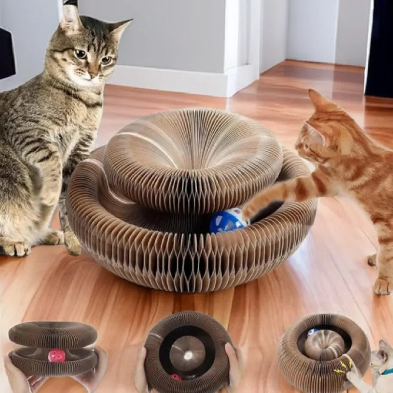 Kitten Curl Toy Foldable Magic Organ Cat Scratching Board Cat Bed