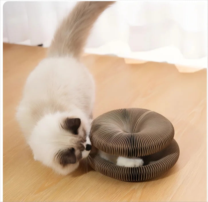 Kitten Curl Toy Foldable Magic Organ Cat Scratching Board Cat Bed
