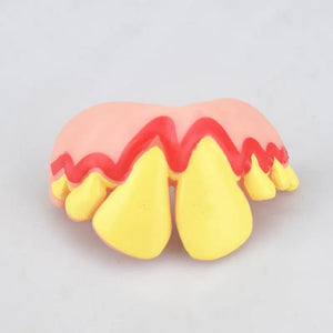 Funny Pet Teeth's! Tricky Funny pet Dentures