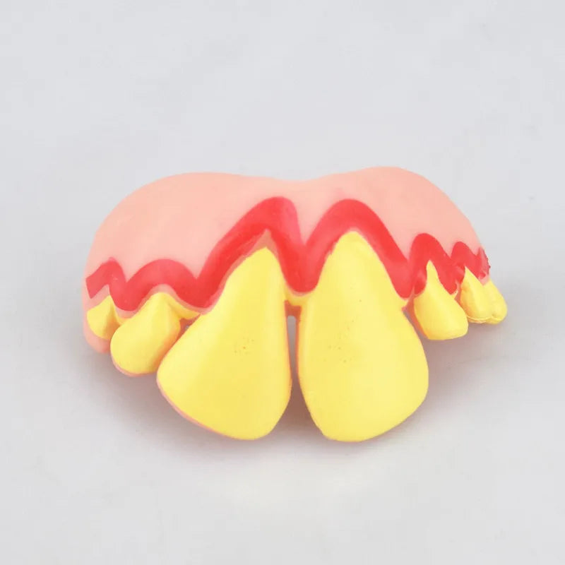 Funny Pet Teeth's! Tricky Funny pet Dentures