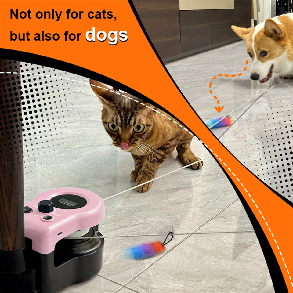 Cat Running Wheel Cat Wheel Exerciser Cat Running Treadmill