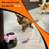 Cat Running Wheel Cat Wheel Exerciser Cat Running Treadmill