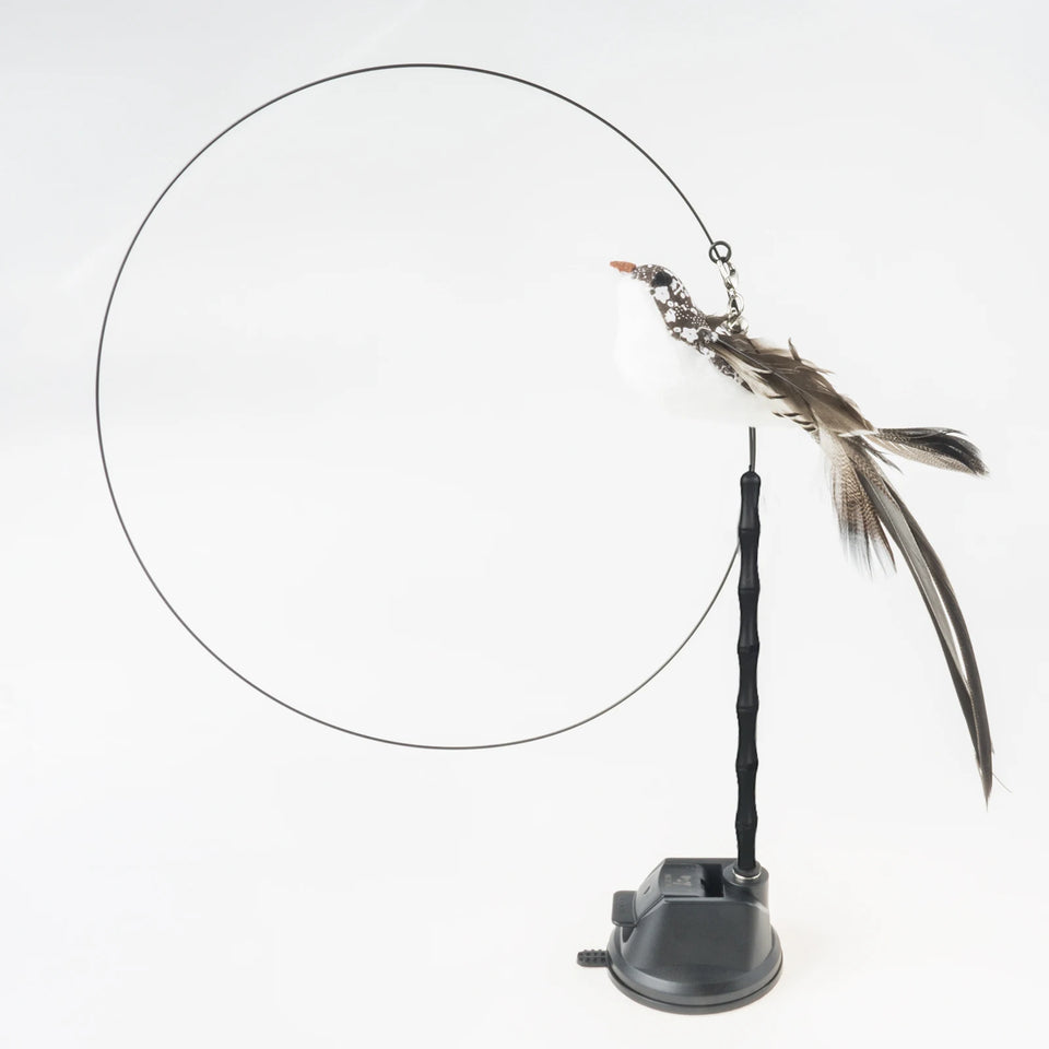 Cat Feather Wand Toy Suction Cup Bird/Feather Cat Wand Pet Supplies