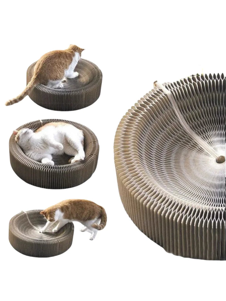 Kitten Curl Toy Foldable Magic Organ Cat Scratching Board Cat Bed