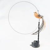 Cat Feather Wand Toy Suction Cup Bird/Feather Cat Wand Pet Supplies