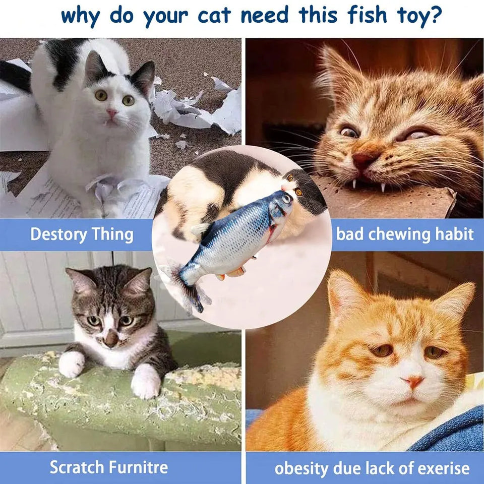 Pet Fish Toy Soft Plush Toy cat dog Chewing Toy