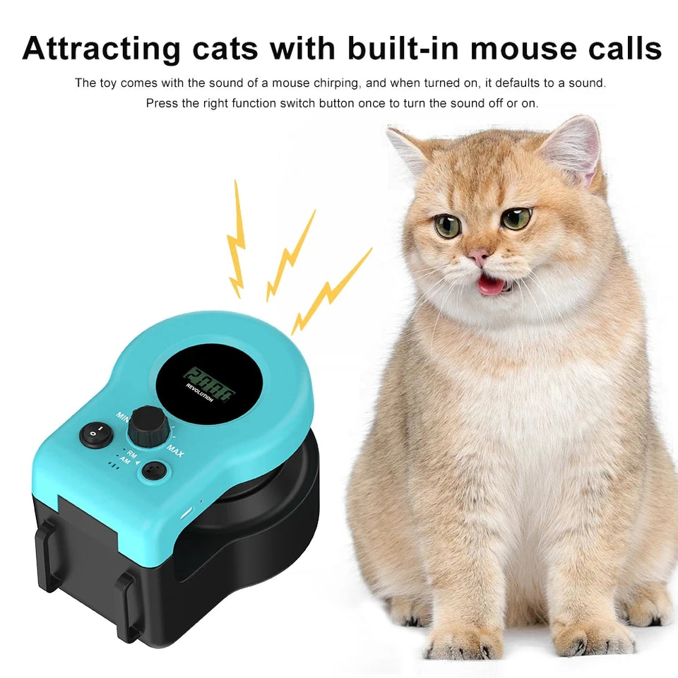 Cat Running Wheel Cat Wheel Exerciser Cat Running Treadmill