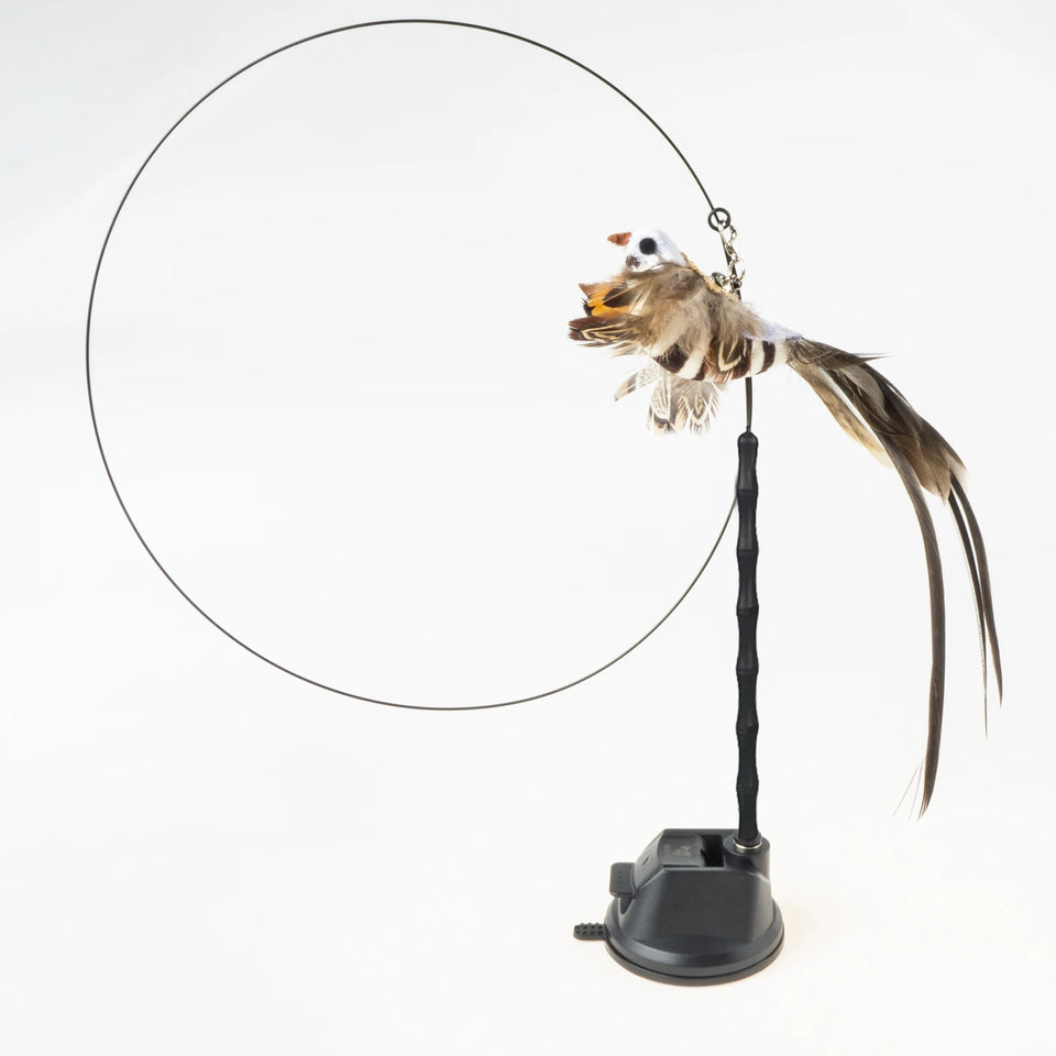 Cat Feather Wand Toy Suction Cup Bird/Feather Cat Wand Pet Supplies