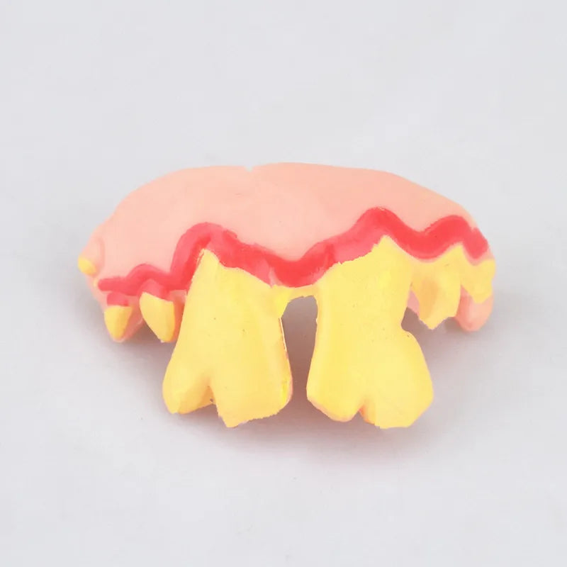 Funny Pet Teeth's! Tricky Funny pet Dentures