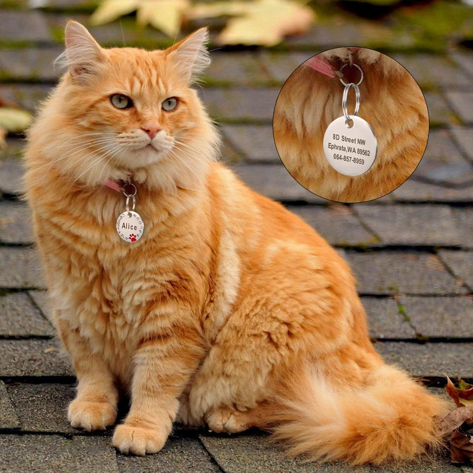 Personalized Dog Cat ID Tag Bling Rhinestone Puppy Kitten Name Tags