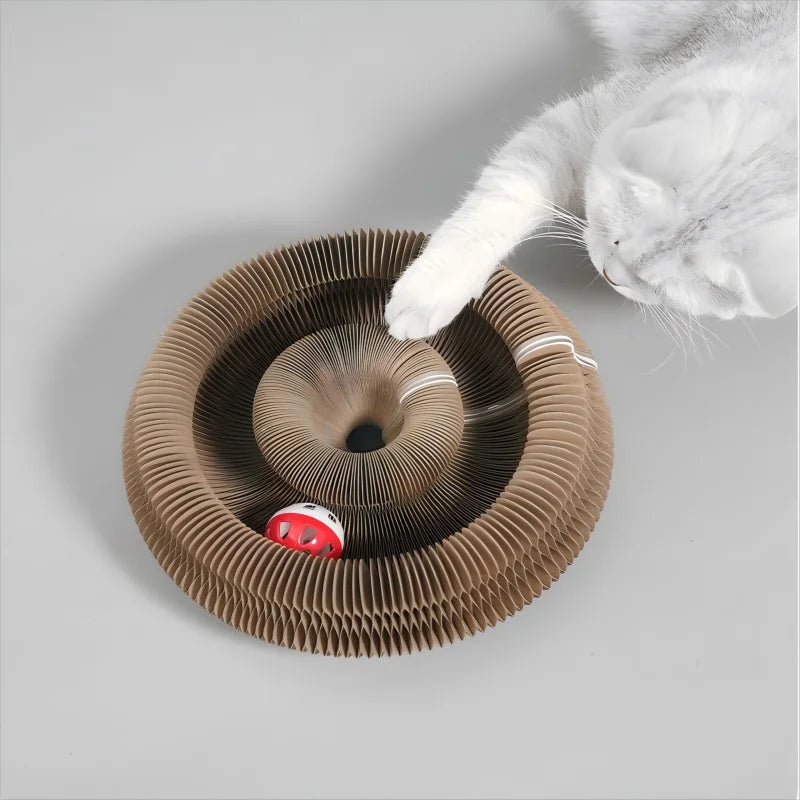 Kitten Curl Toy Foldable Magic Organ Cat Scratching Board Cat Bed