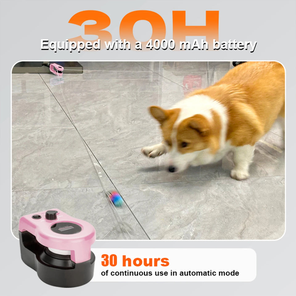 Cat Running Wheel Cat Wheel Exerciser Cat Running Treadmill