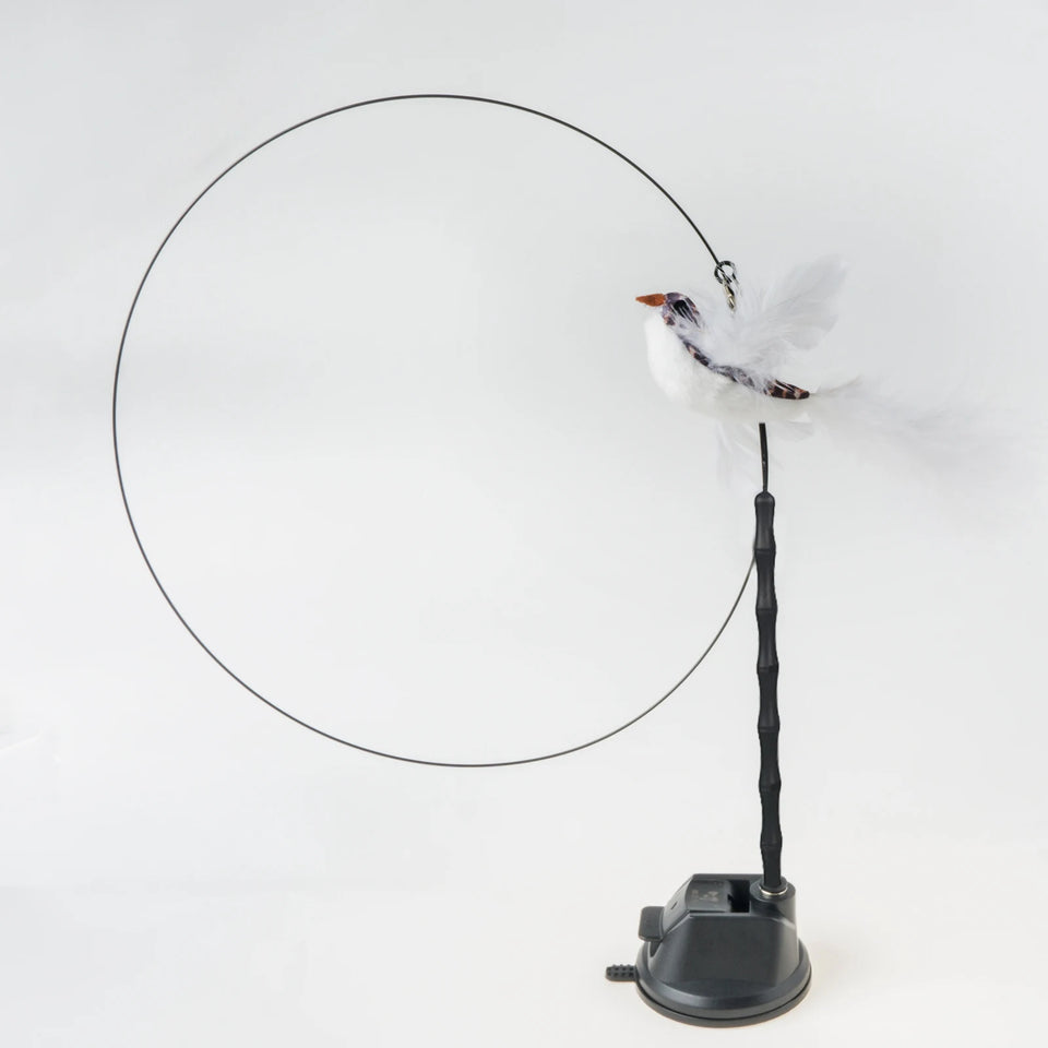 Cat Feather Wand Toy Suction Cup Bird/Feather Cat Wand Pet Supplies