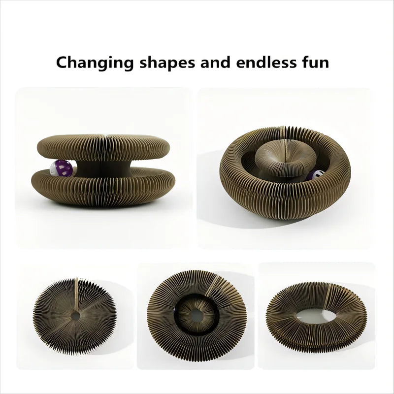 Kitten Curl Toy Foldable Magic Organ Cat Scratching Board Cat Bed
