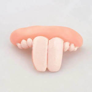 Funny Pet Teeth's! Tricky Funny pet Dentures