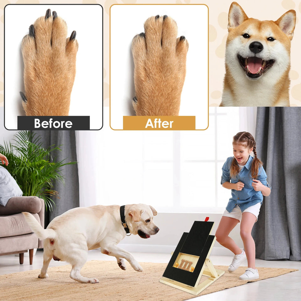 Dog Nail Scratch Board Puppy Nail Grinding Pad Treat Drawer Board Foldable