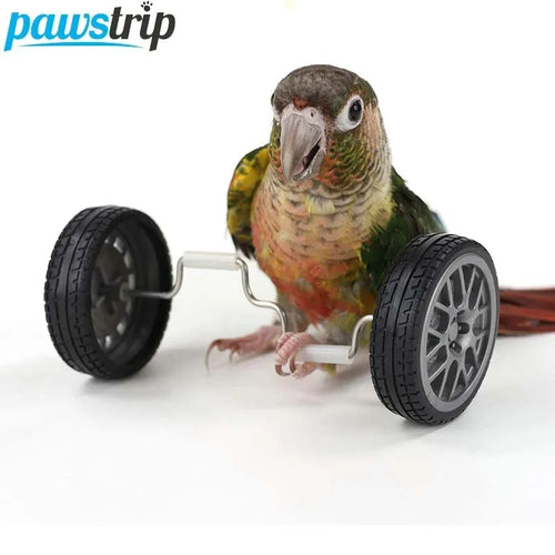 Creative Parrot Balance Toy Interactive Birds Toy Mini Intelligence Training Toy