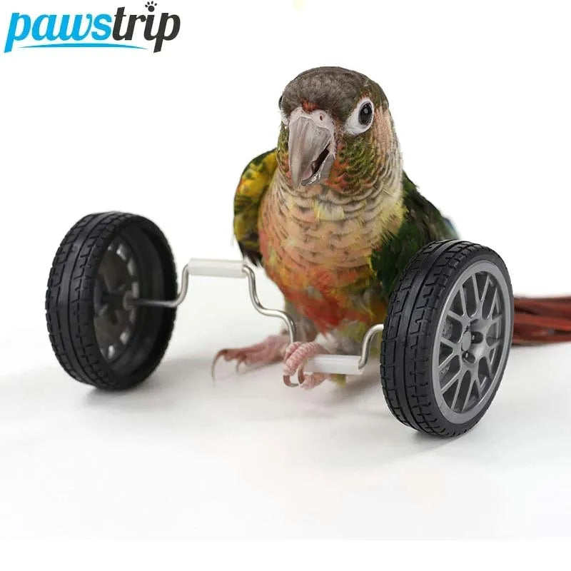 Creative Parrot Balance Toy Interactive Birds Toy Mini Intelligence Training Toy