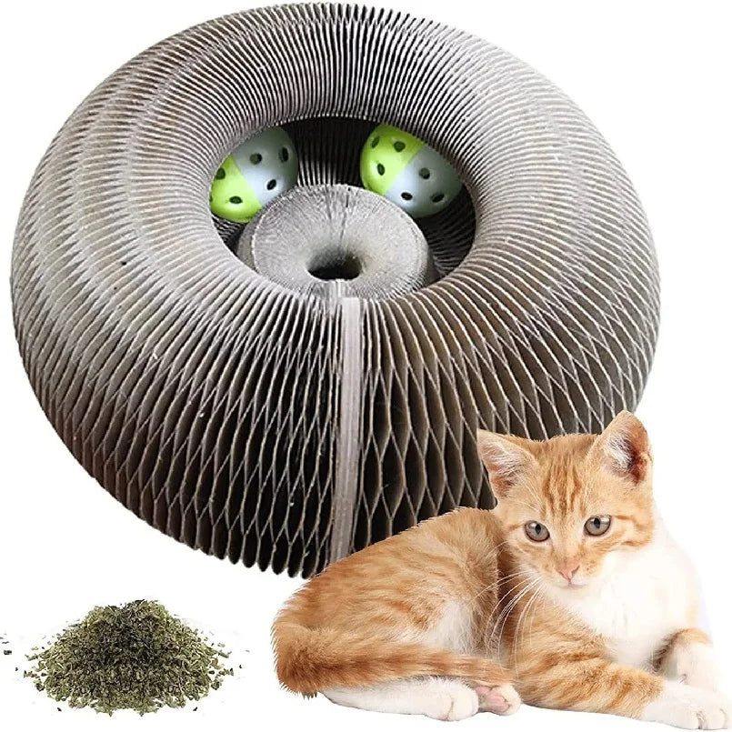 Kitten Curl Toy Foldable Magic Organ Cat Scratching Board Cat Bed
