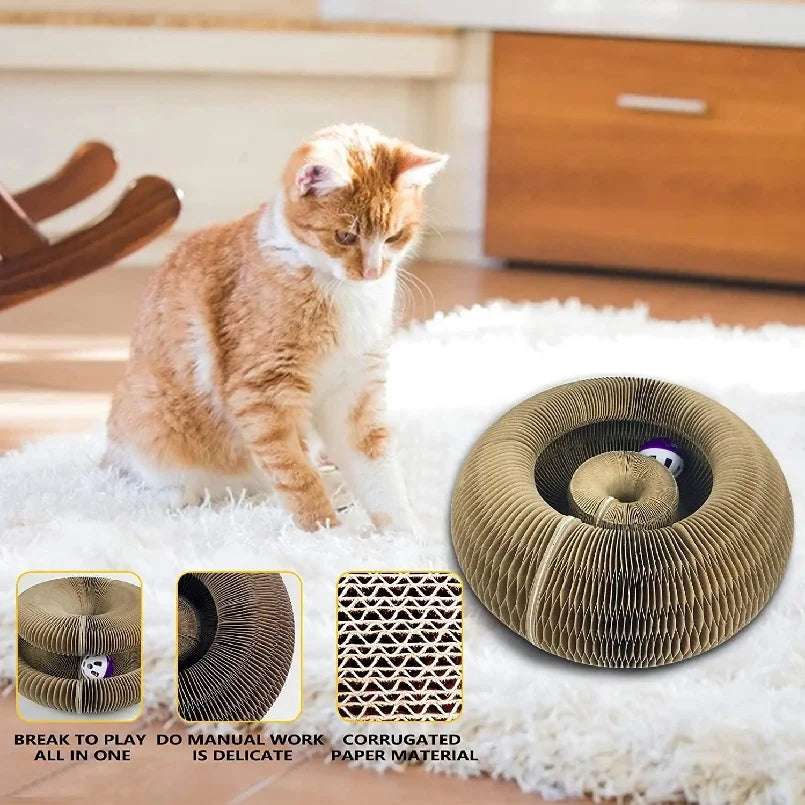 Kitten Curl Toy Foldable Magic Organ Cat Scratching Board Cat Bed