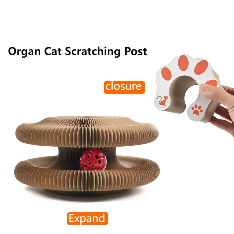 Kitten Curl Toy Foldable Magic Organ Cat Scratching Board Cat Bed