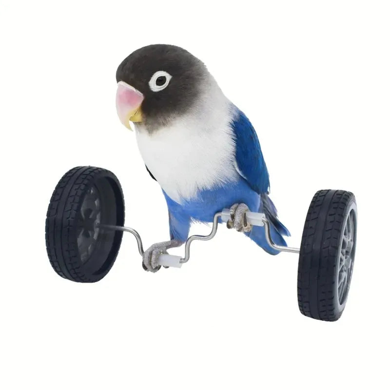 Creative Parrot Balance Toy Interactive Birds Toy Mini Intelligence Training Toy