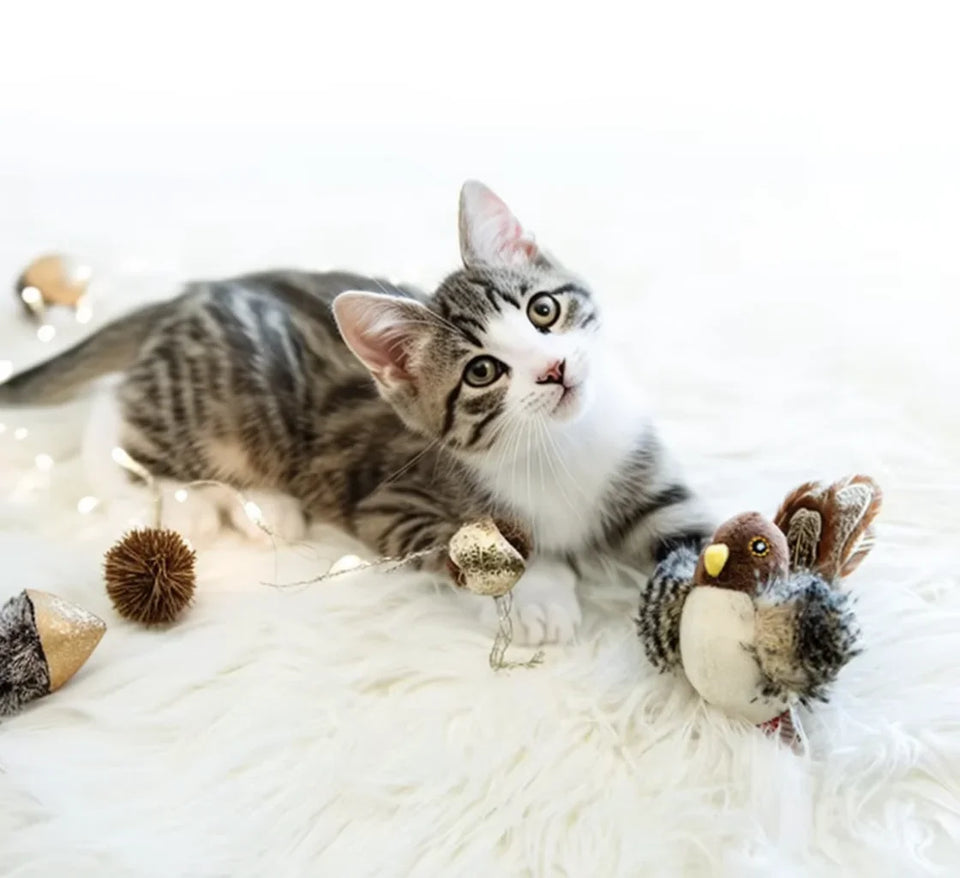 Interactive dog Cat Toys Toy Flying Wings Sparrow Catnip Toys