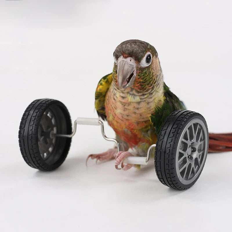 Creative Parrot Balance Toy Interactive Birds Toy Mini Intelligence Training Toy
