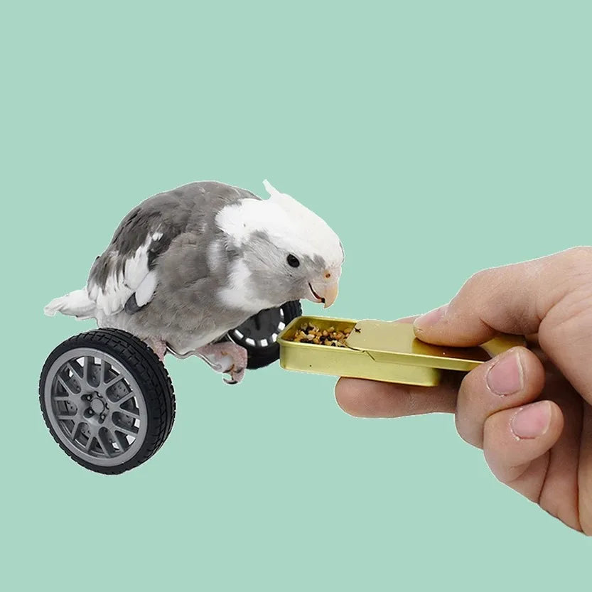 Creative Parrot Balance Toy Interactive Birds Toy Mini Intelligence Training Toy