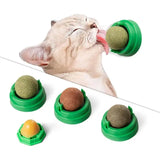 Premium Catnip Balls