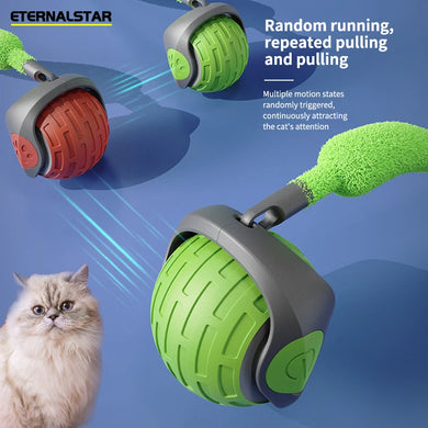 Interactive Cat Hunt Ball Auto Rolling Ball USB Rechargeable Cat Toy