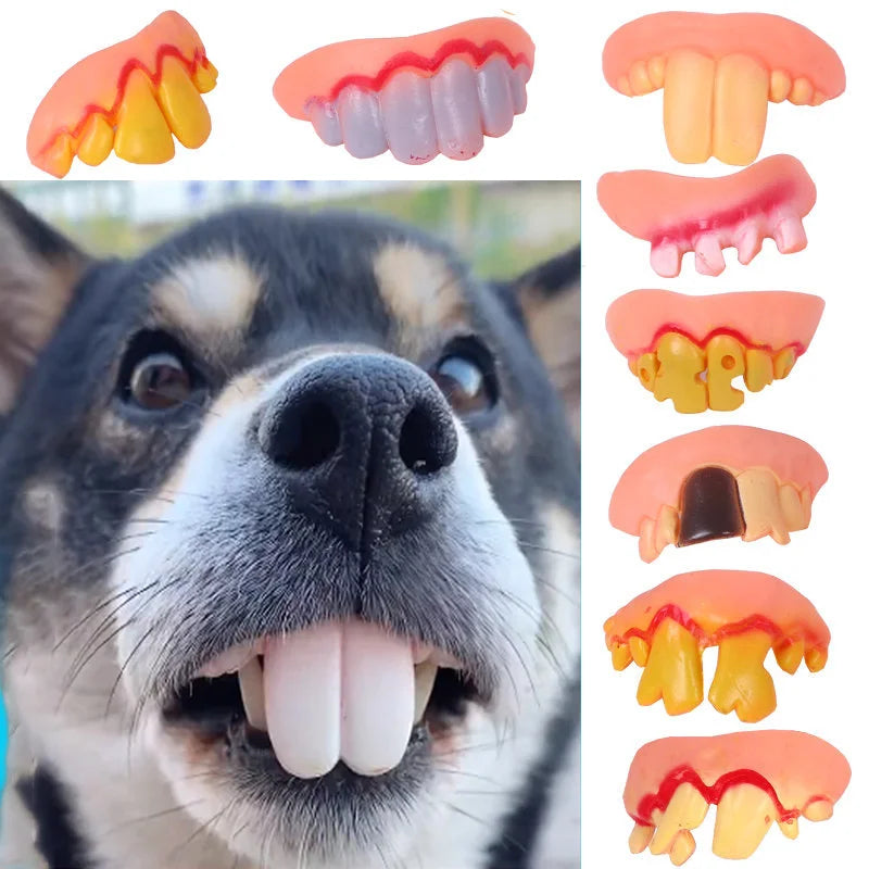 Funny Pet Teeth's! Tricky Funny pet Dentures