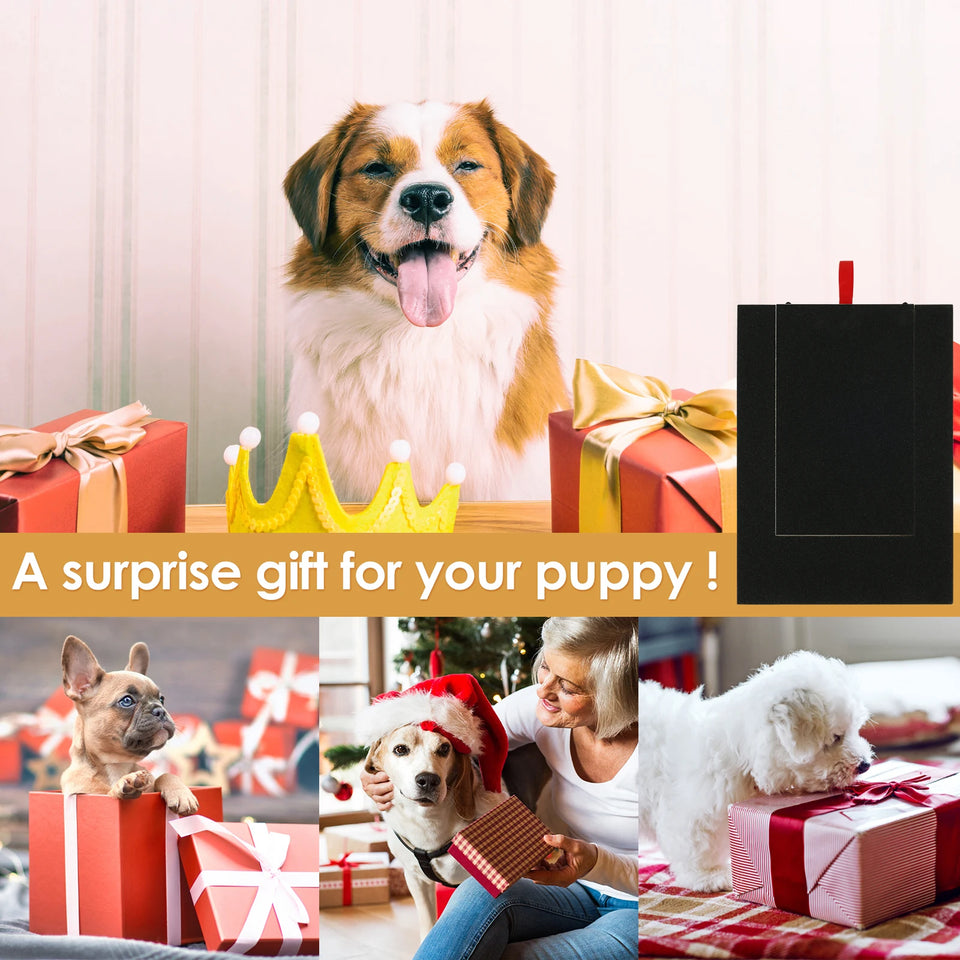 Dog Nail Scratch Board Puppy Nail Grinding Pad Treat Drawer Board Foldable